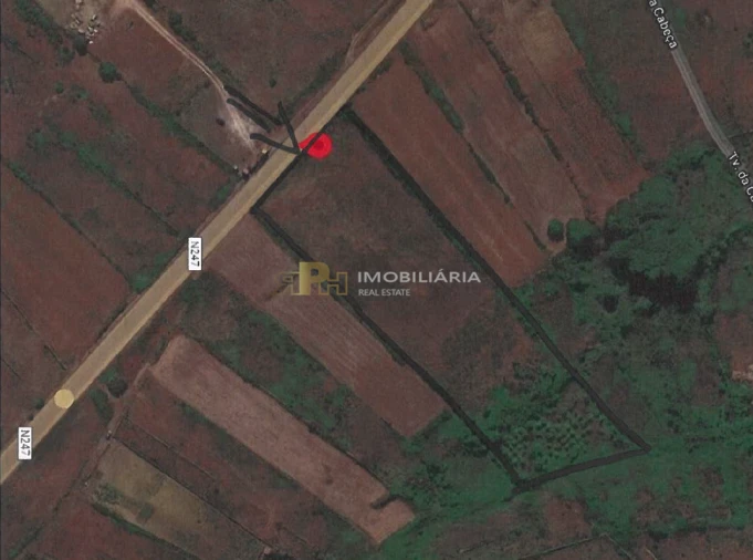 Terreno Agricola ou Rústico para Venda em Igreja Nova e Cheleiros Foto 15