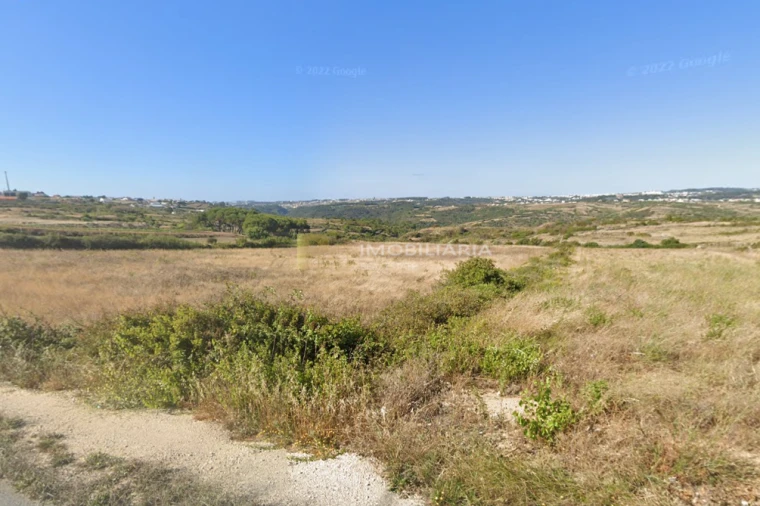 Terreno Agricola ou Rústico para Venda em Igreja Nova e Cheleiros Foto 2