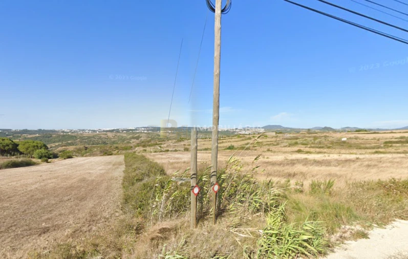 Terreno Agricola ou Rústico para Venda em Igreja Nova e Cheleiros Foto 4