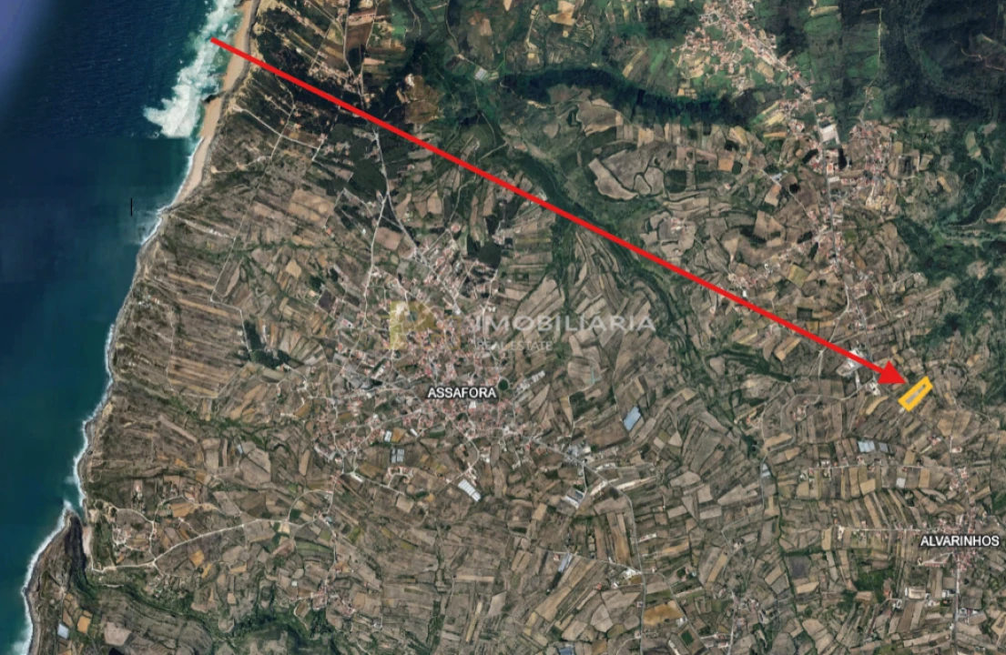 Terreno Agricola ou Rústico para Venda em Igreja Nova e Cheleiros Foto 13