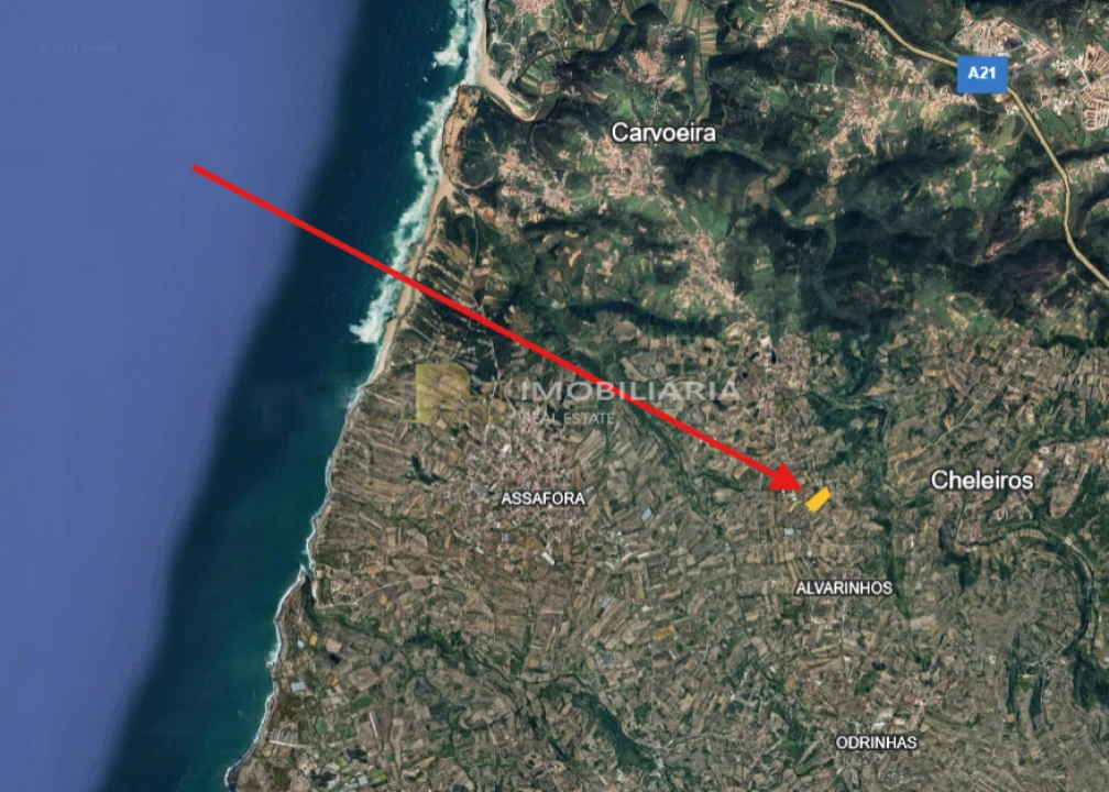 Terreno Agricola ou Rústico para Venda em Igreja Nova e Cheleiros Foto 12