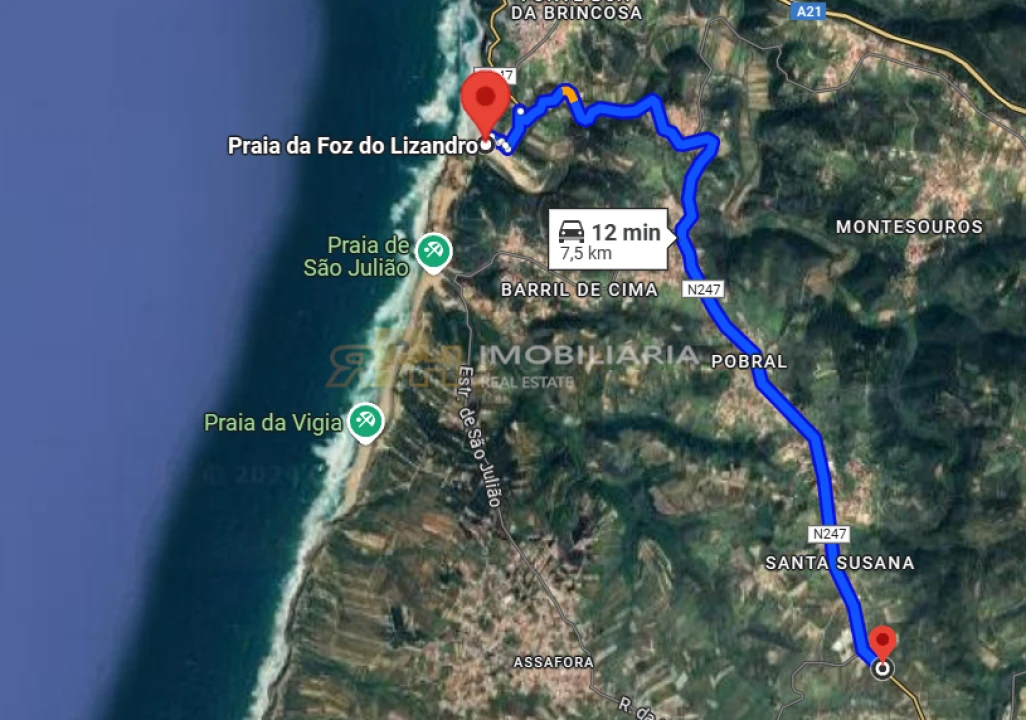 Terreno Agricola ou Rústico para Venda em Igreja Nova e Cheleiros Foto 10