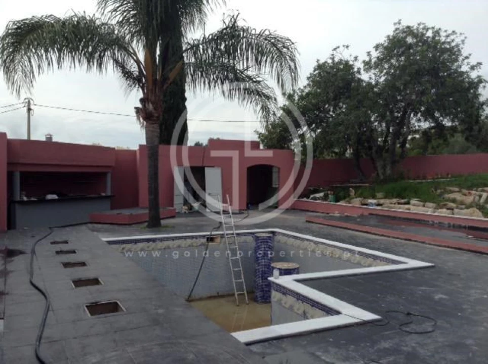 Negócio para Venda em Almancil Foto 1