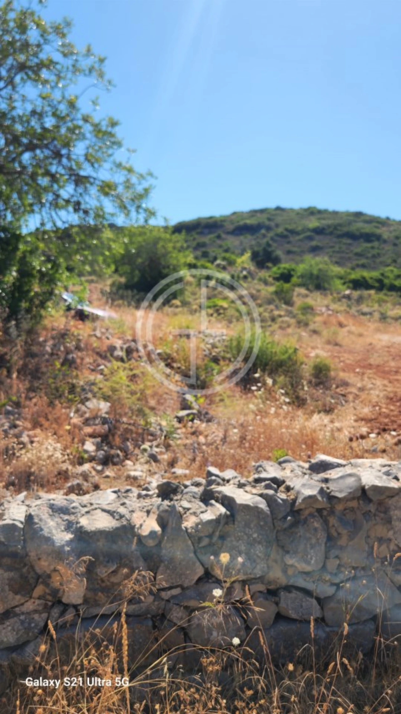 Terreno Agricola ou Rústico para Venda em Santa Barbara de Nexe Foto 1