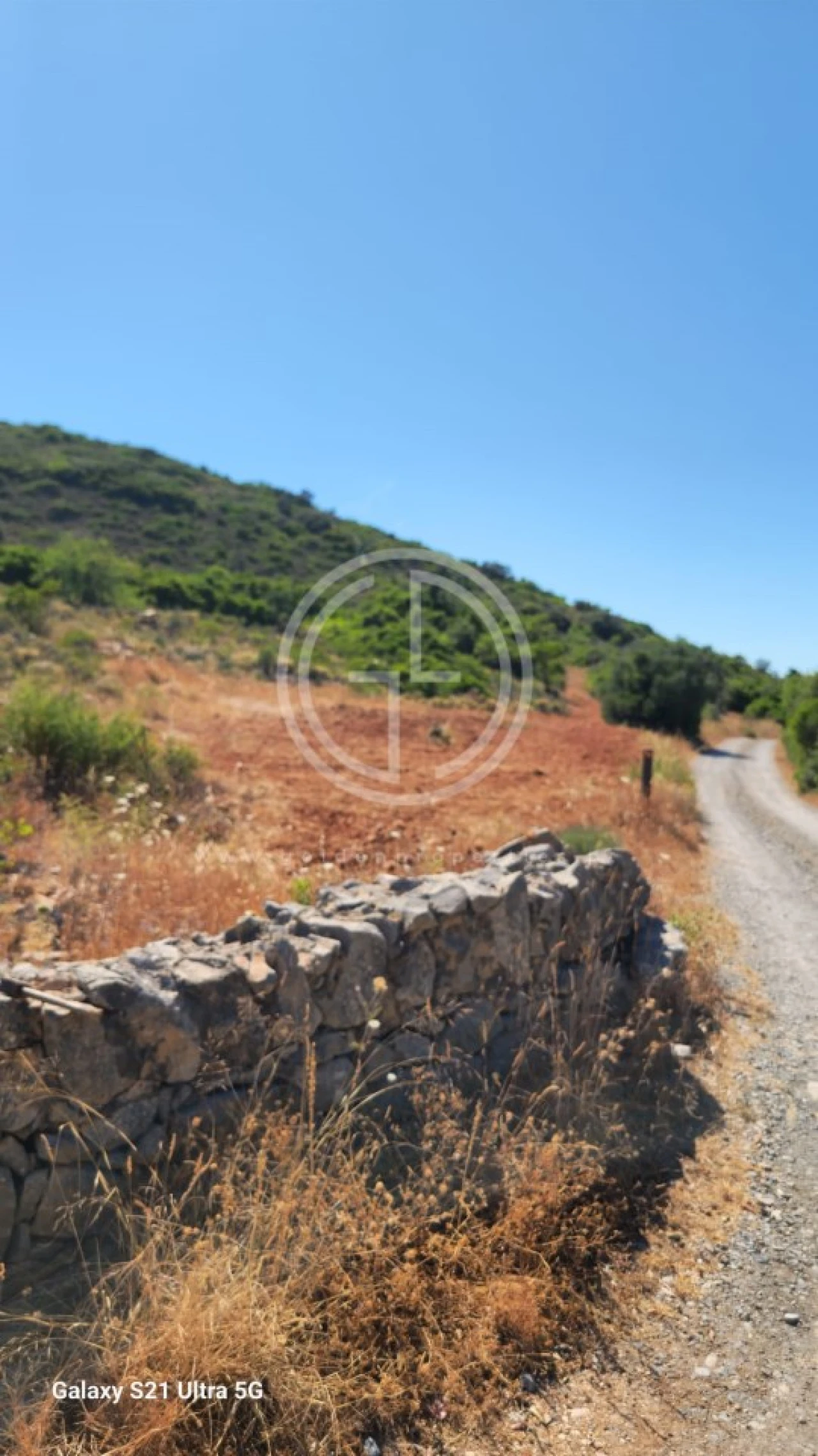 Terreno Agricola ou Rústico para Venda em Santa Barbara de Nexe Foto 3