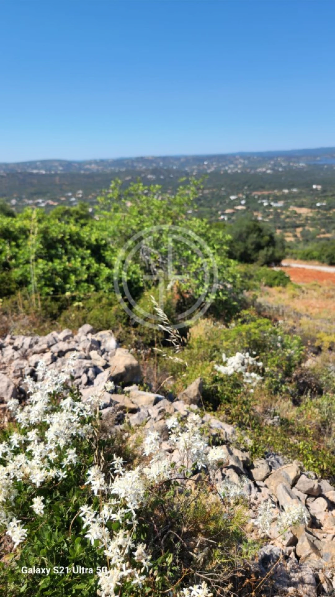 Terreno Agricola ou Rústico para Venda em Santa Barbara de Nexe Foto 5