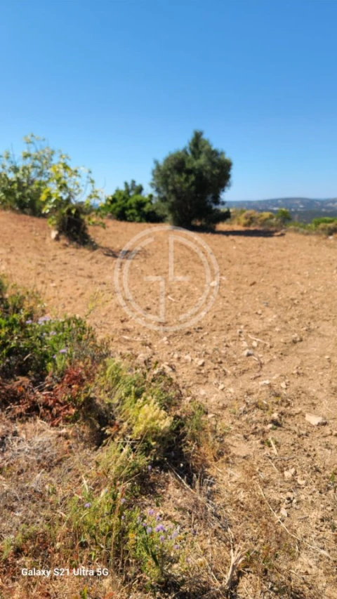 Terreno Agricola ou Rústico para Venda em Santa Barbara de Nexe