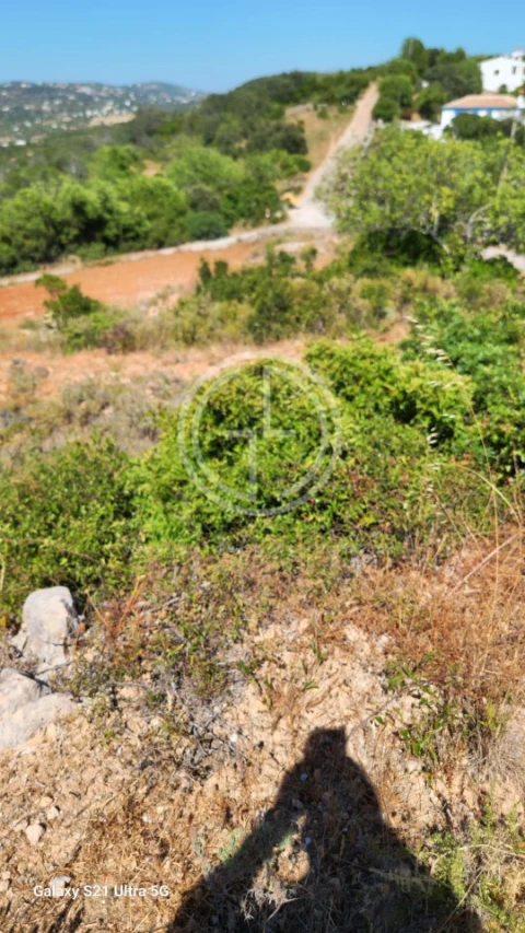 Terreno Agricola ou Rústico para Venda em Santa Barbara de Nexe