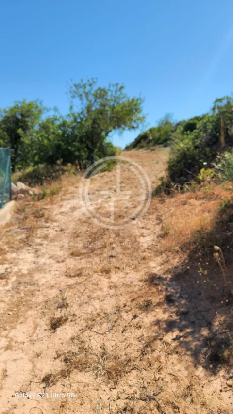 Terreno Agricola ou Rústico para Venda em Santa Barbara de Nexe