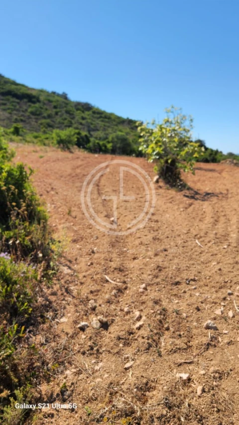 Terreno Agricola ou Rústico para Venda em Santa Barbara de Nexe