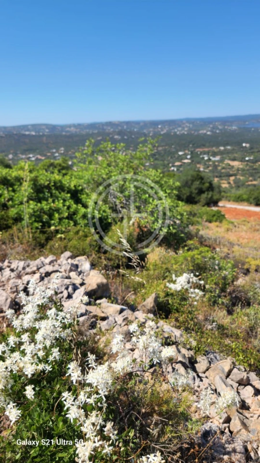 Terreno Agricola ou Rústico para Venda em Santa Barbara de Nexe Foto 5