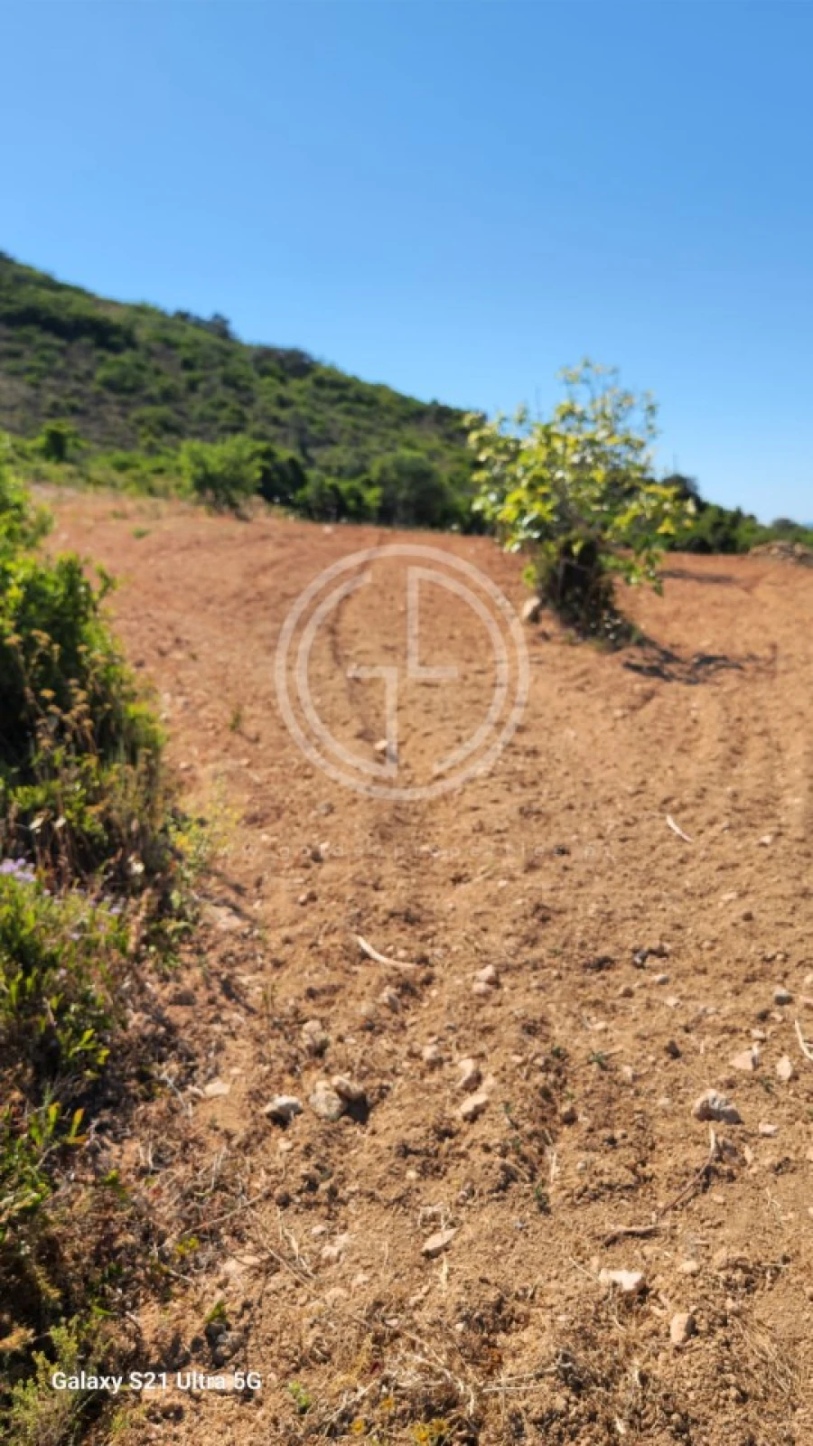 Terreno Agricola ou Rústico para Venda em Santa Barbara de Nexe Foto 10