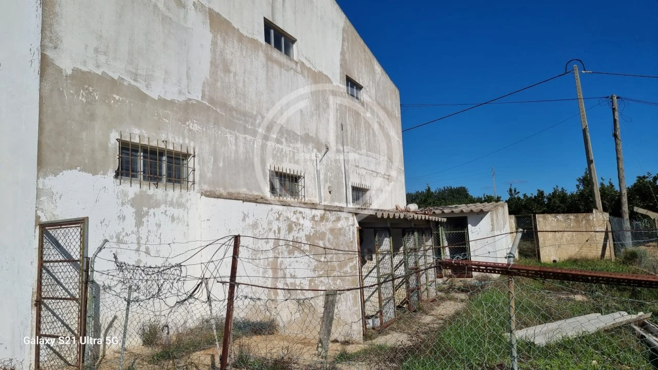 Armazém para Venda em Loule (São Clemente) Foto 3