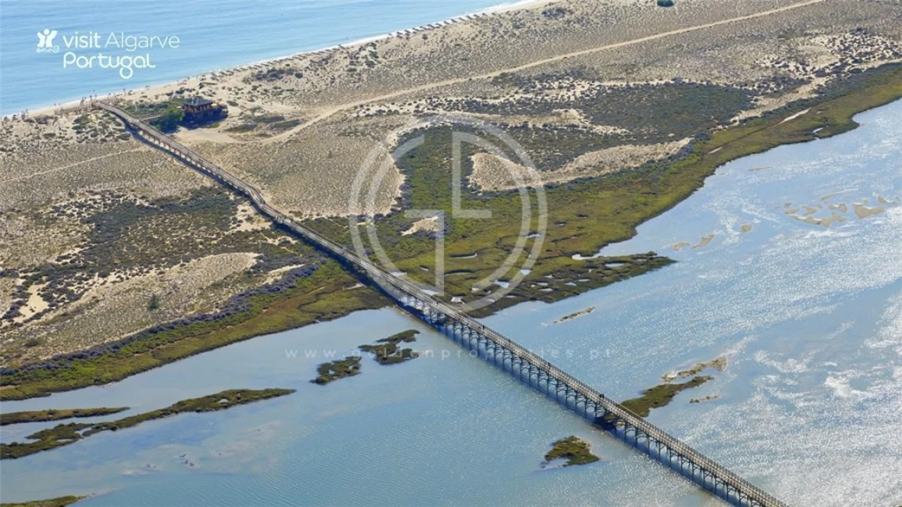 Armazém para Venda em Loule (São Clemente) Foto 12