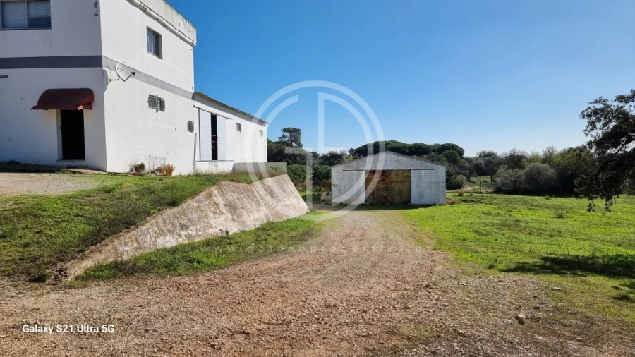Armazém para Venda em Loule (São Clemente) Foto 6