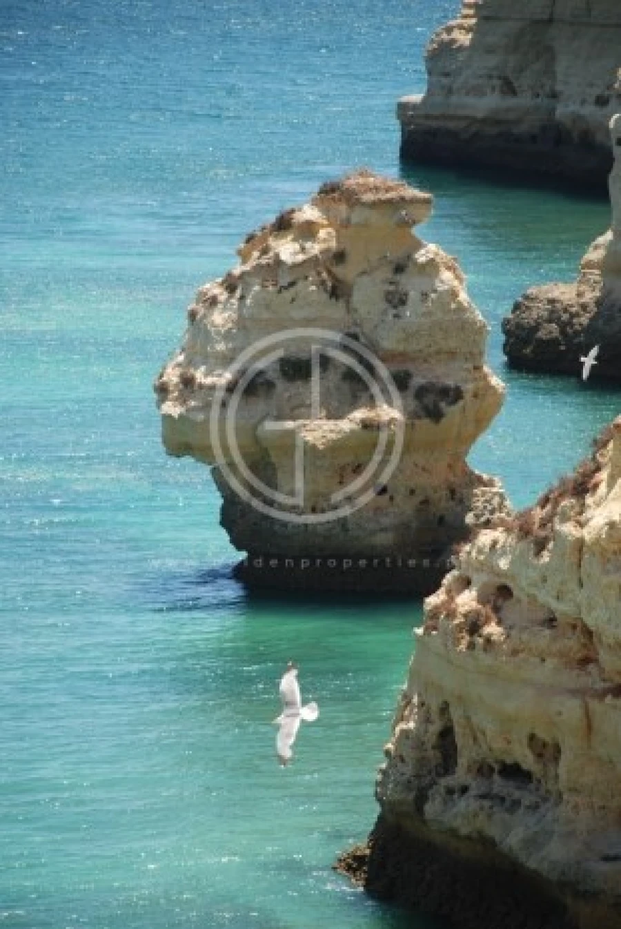 Terreno para Venda em Ferragudo Foto 8