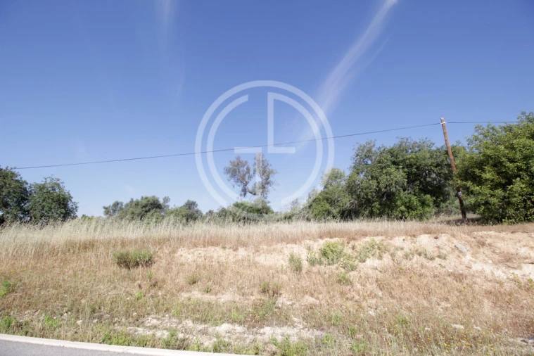 Terreno para Venda em Tavira (Santa Maria e Santiago) Foto 5