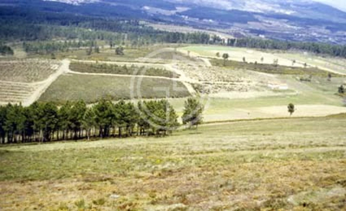 Terreno para Venda em Paços Foto 1