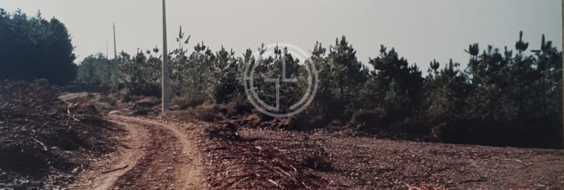 Terreno para Venda em Paços Foto 3