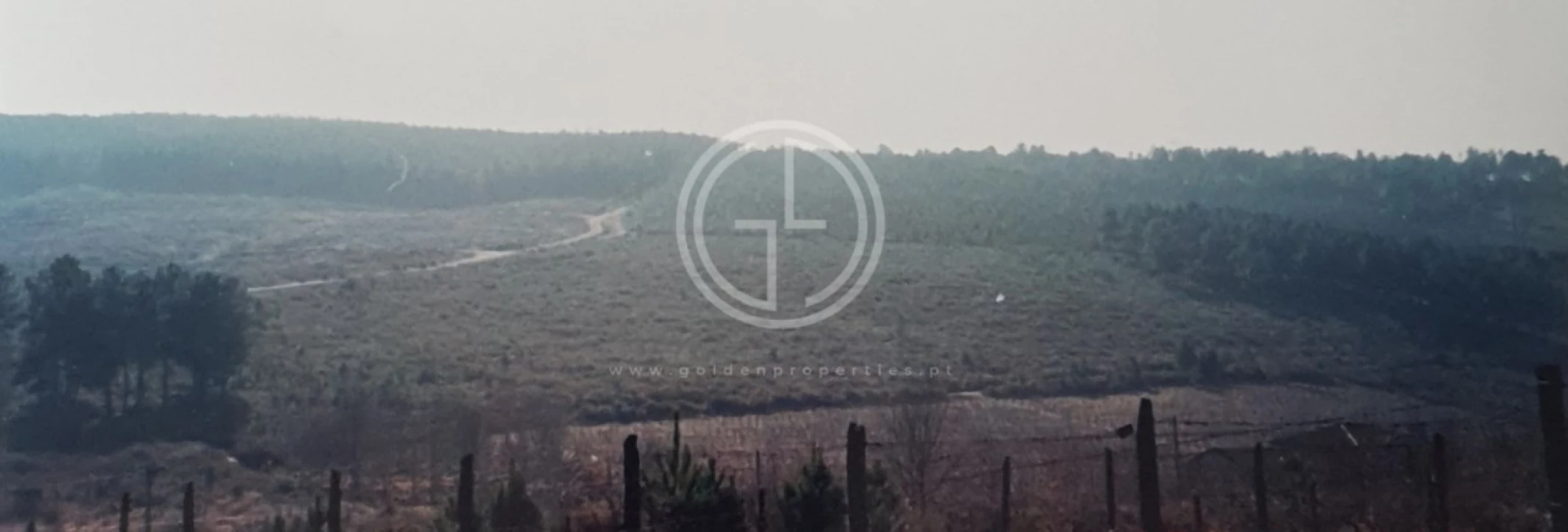 Terreno para Venda em Paços Foto 5
