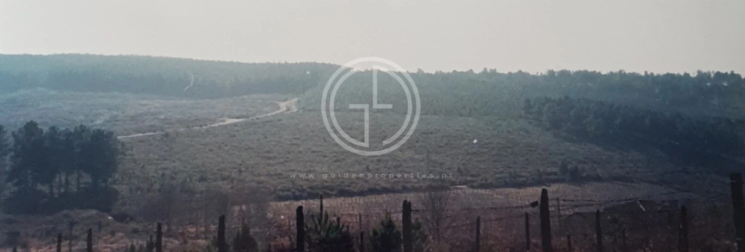 Terreno para Venda em Paços Foto 5