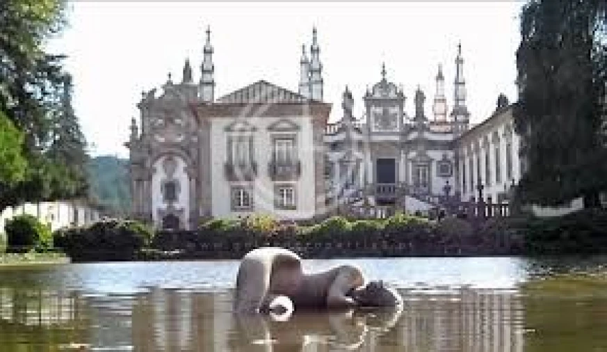Terreno para Venda em Paços Foto 11