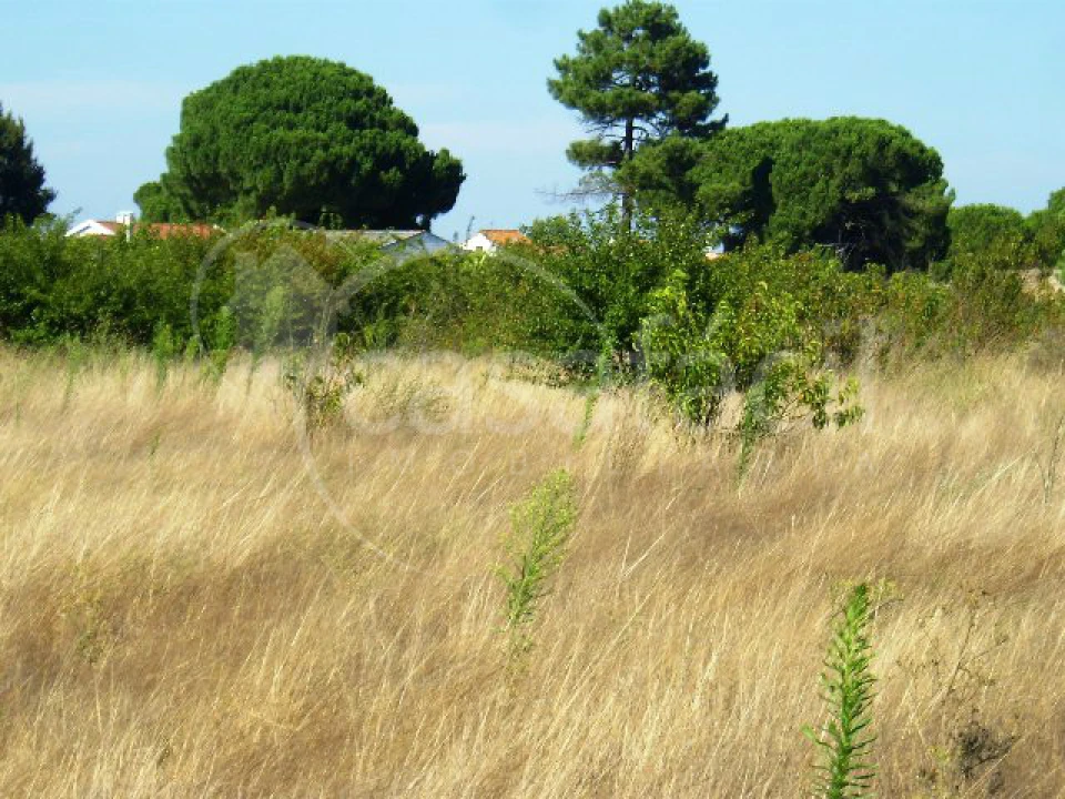 Terreno Agricola ou Rústico para Venda em Pegões Foto 1