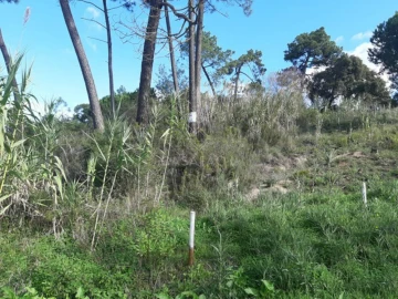Terreno para Venda em Palhais e Coina