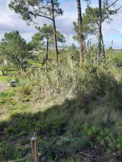 Terreno para Venda em Palhais e Coina