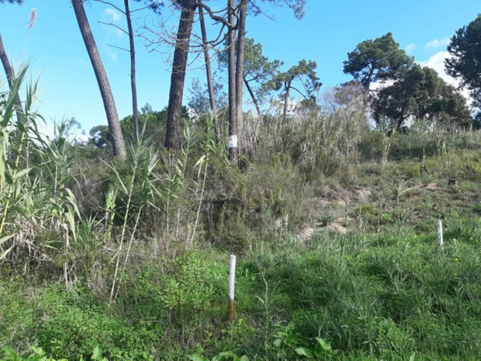 Terreno para Venda em Palhais e Coina Foto 2