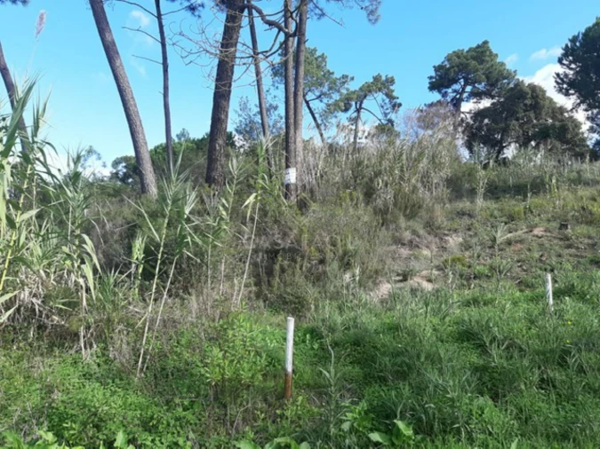 Terreno para Venda em Palhais e Coina Foto 2