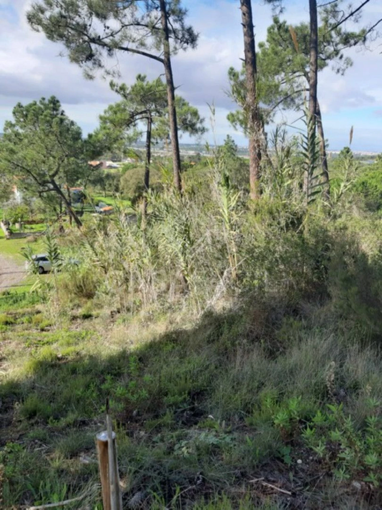 Terreno para Venda em Palhais e Coina Foto 5