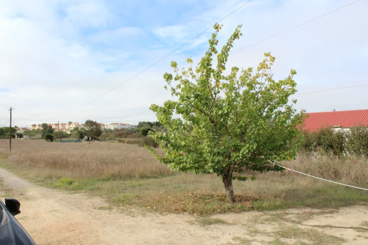 Quinta T0 para Venda em Alcochete Foto 3
