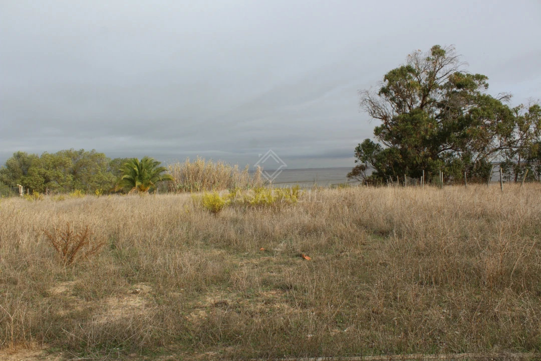 Quinta T0 para Venda em Alcochete Foto 41