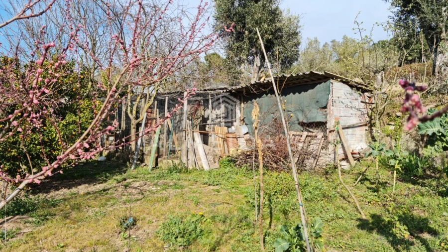 Quinta T1 para Venda em Bornes de Aguiar Foto 8