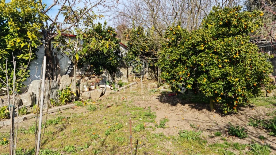 Quinta T1 para Venda em Bornes de Aguiar Foto 9