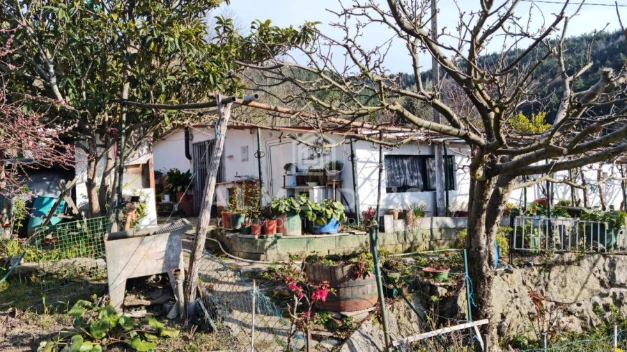 Quinta T1 para Venda em Bornes de Aguiar Foto 2