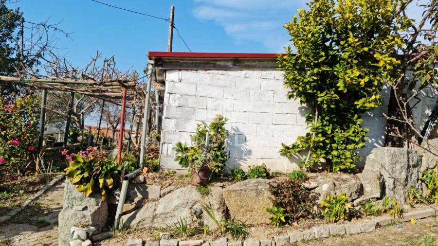 Quinta T1 para Venda em Bornes de Aguiar Foto 4