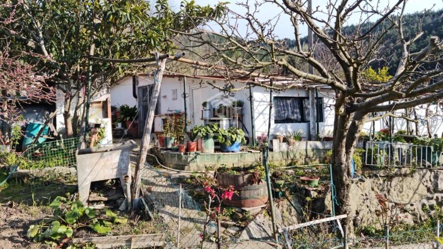 Quinta T1 para Venda em Bornes de Aguiar Foto 1