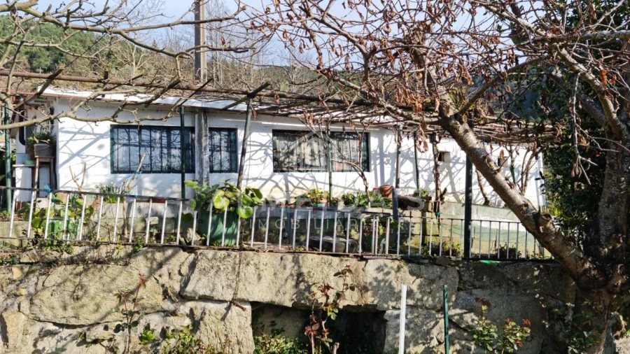 Quinta T1 para Venda em Bornes de Aguiar Foto 3