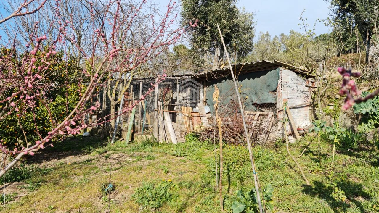 Quinta T1 para Venda em Bornes de Aguiar Foto 8