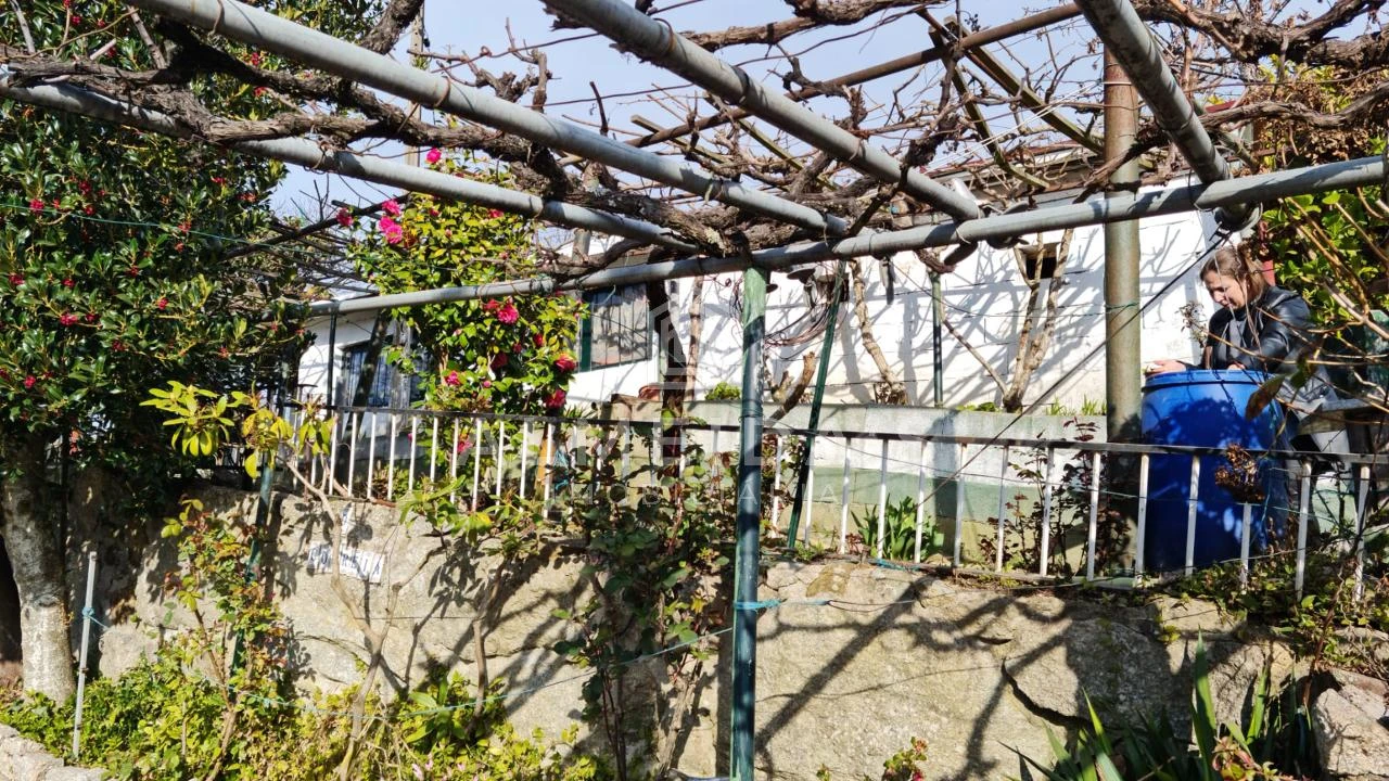 Quinta T1 para Venda em Bornes de Aguiar Foto 7
