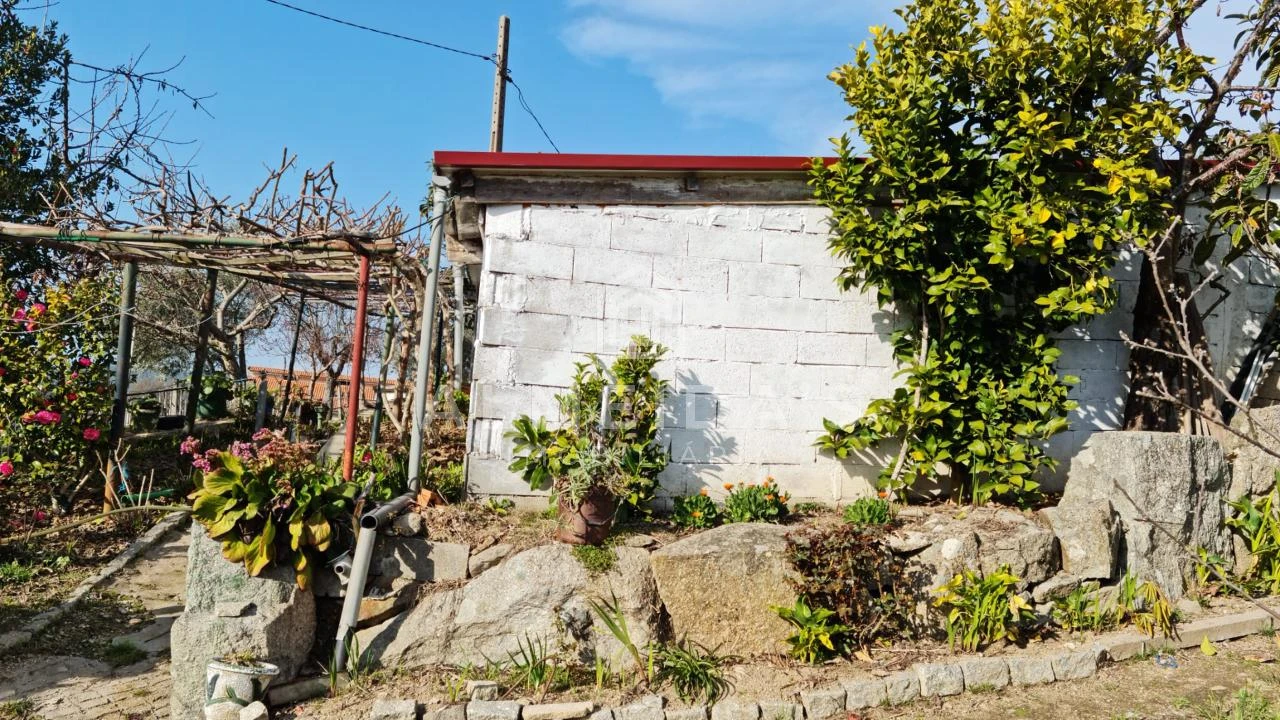 Quinta T1 para Venda em Bornes de Aguiar Foto 4