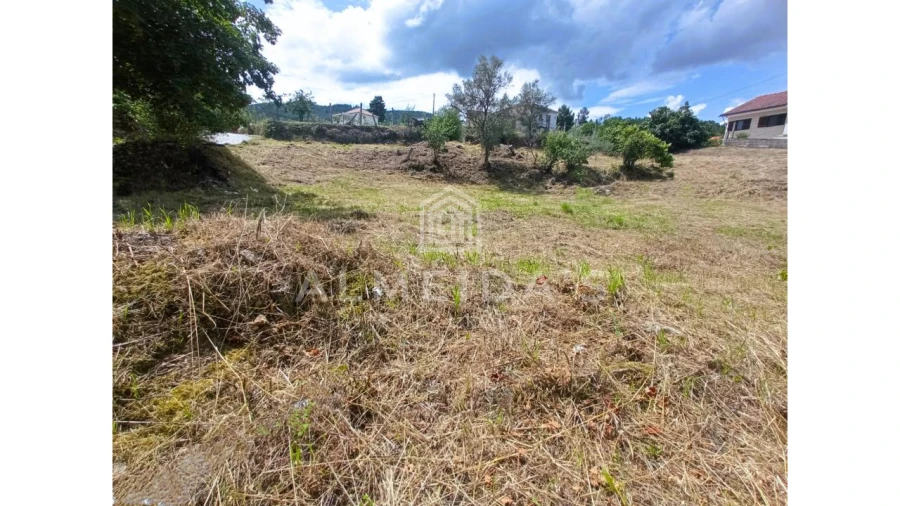 Terreno para Venda em Bornes de Aguiar Foto 4
