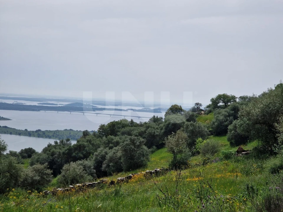 Terreno para Venda em Monsaraz Foto 5