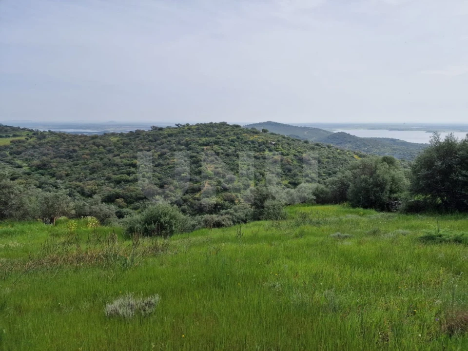 Terreno para Venda em Monsaraz Foto 4