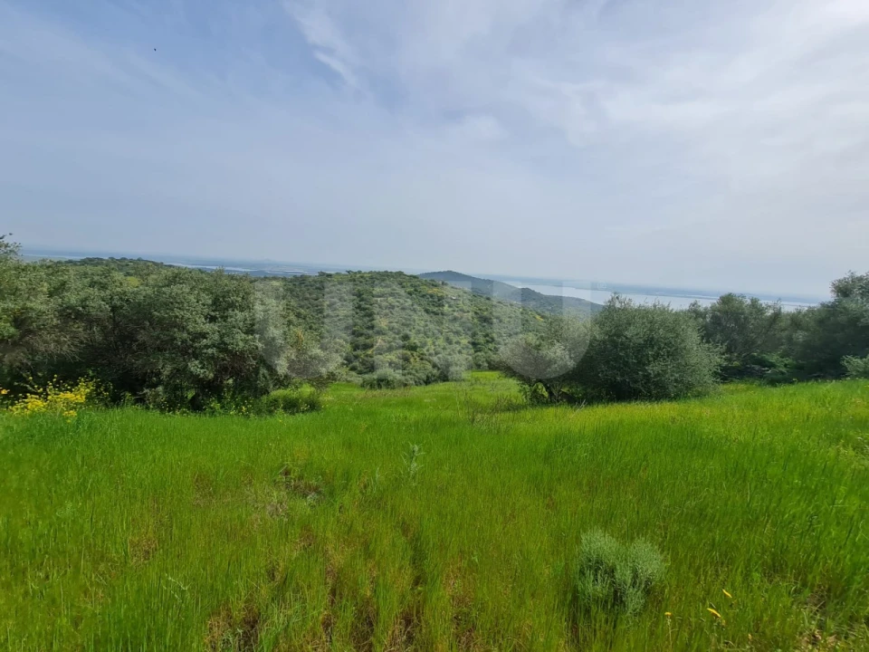Terreno para Venda em Monsaraz Foto 8