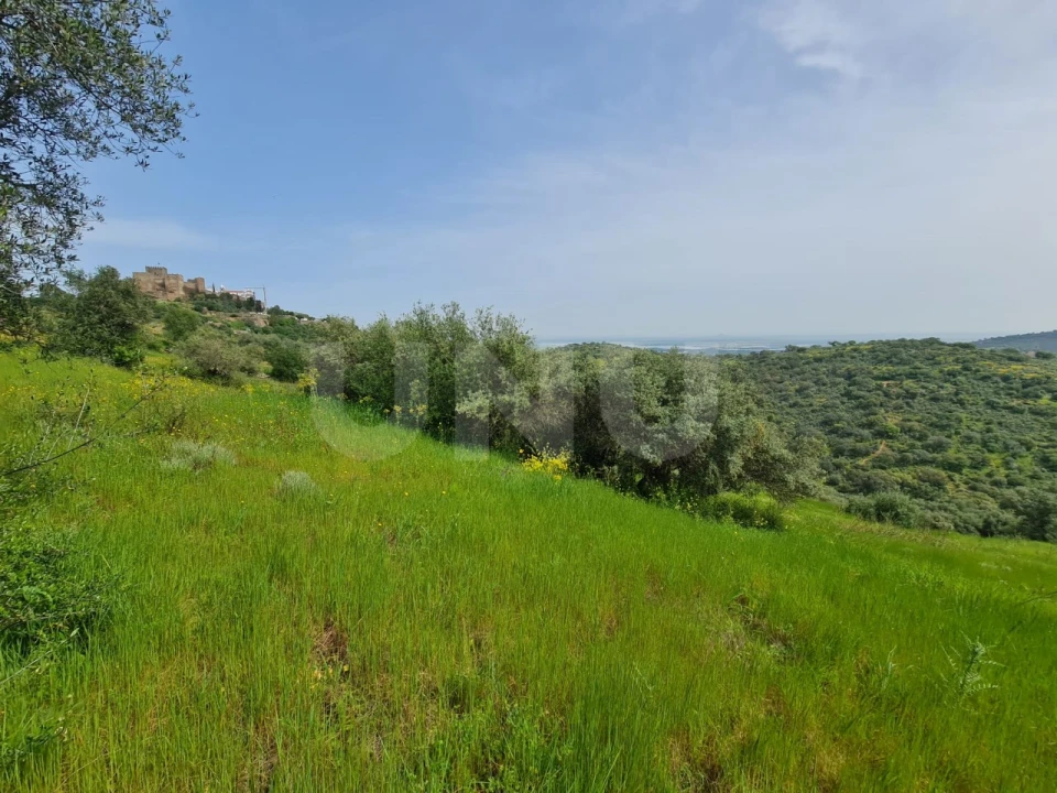Terreno para Venda em Monsaraz Foto 10