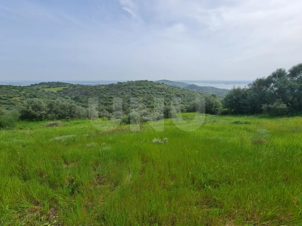 Terreno para Venda em Monsaraz Foto 11