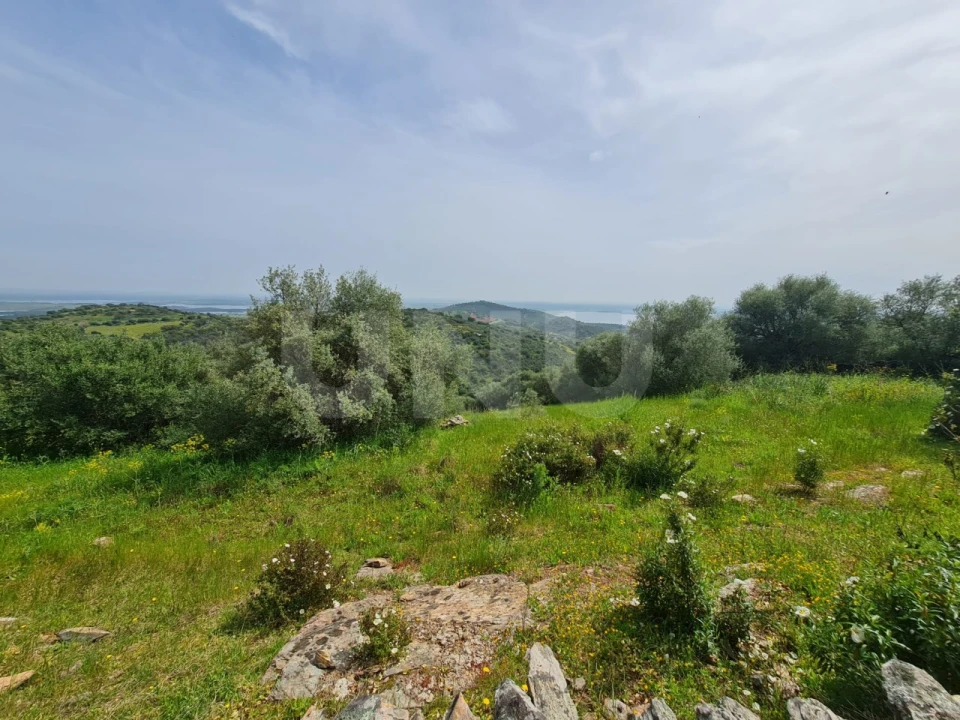 Terreno para Venda em Monsaraz Foto 12